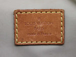 Louis Vuitton Pouch